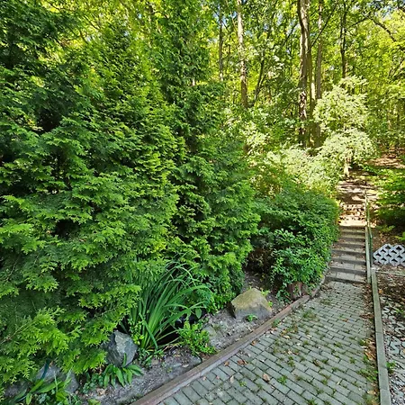 Przy Lesie Apartament